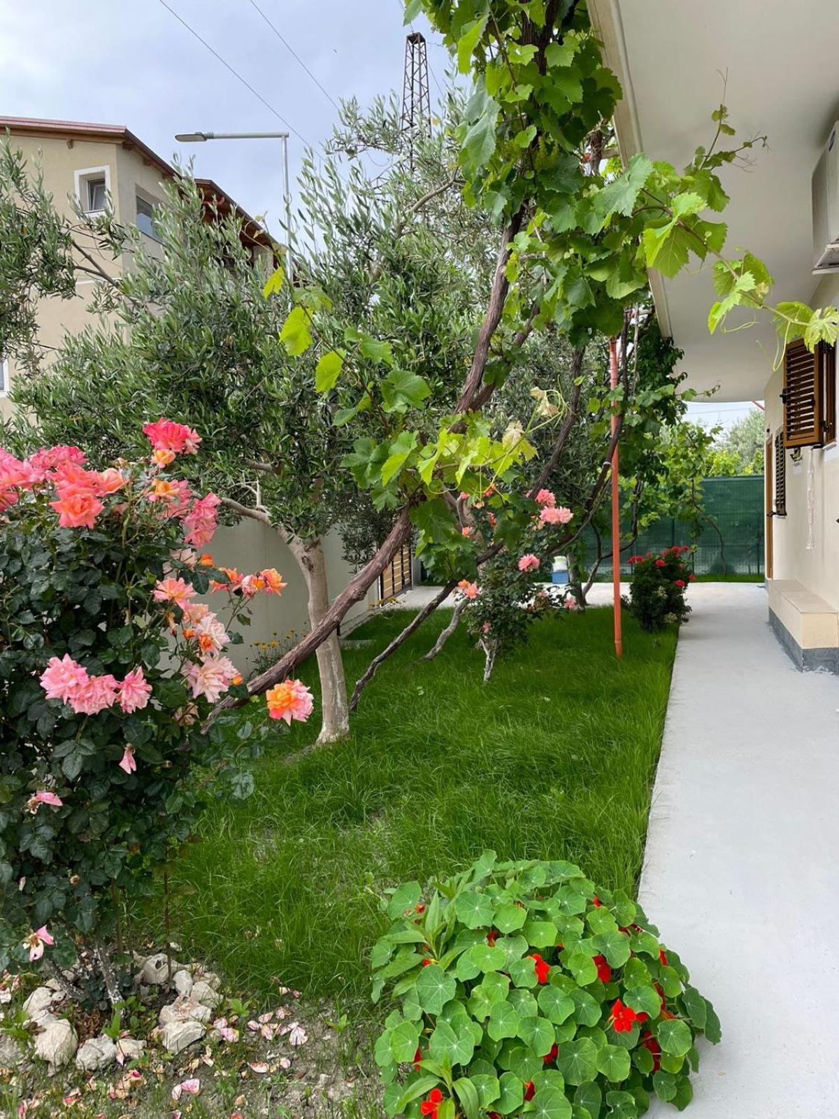 Blossom Apartments Vlore Exterior photo